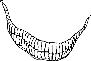 Oomer Psycho Mouth