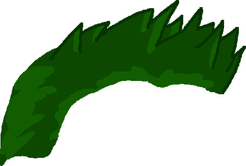 Hair 04 Green