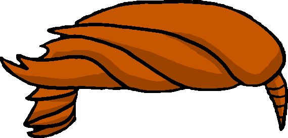 Hair 11 Orange